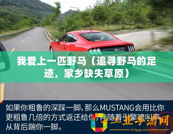 我愛上一匹野馬（追尋野馬的足跡，家鄉(xiāng)缺失草原）