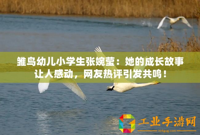 雛鳥幼兒小學生張婉瑩：她的成長故事讓人感動，網友熱評引發共鳴！