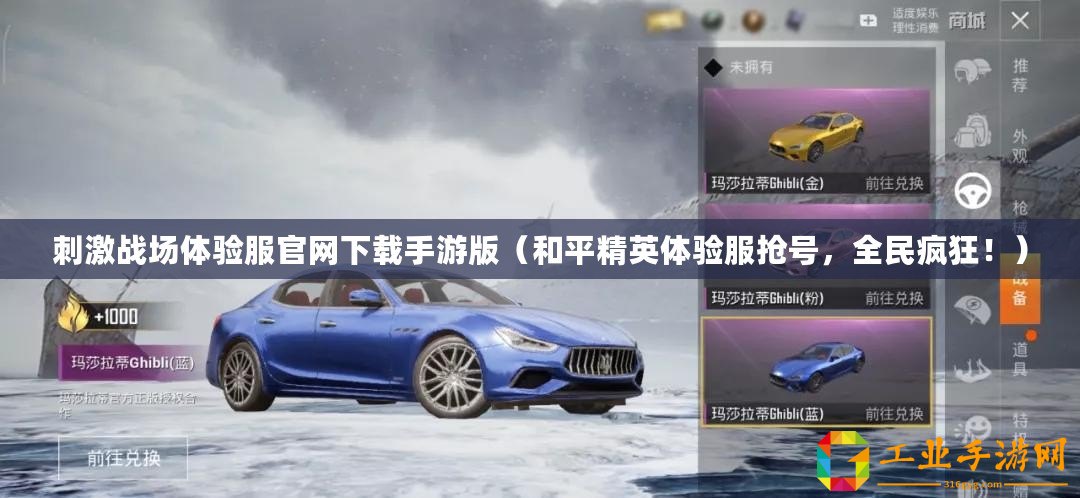 刺激戰場體驗服官網下載手游版(和平精英體驗服搶號,全民瘋狂?。? title=