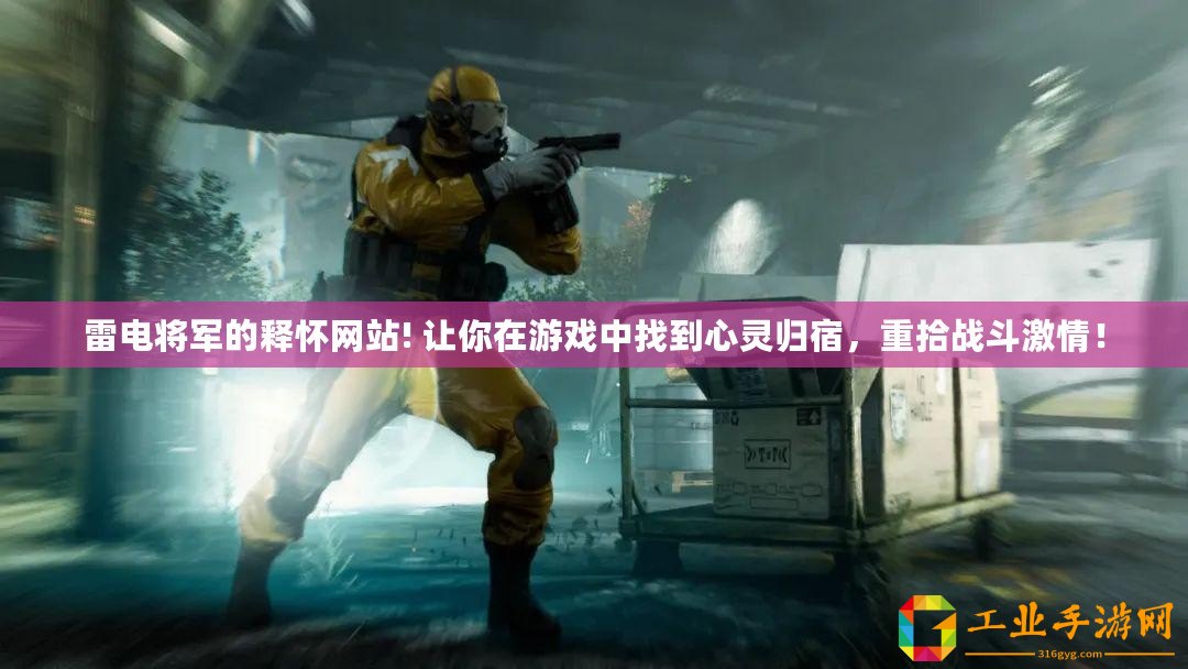 雷電將軍的釋懷網站! 讓你在游戲中找到心靈歸宿，重拾戰斗激情！