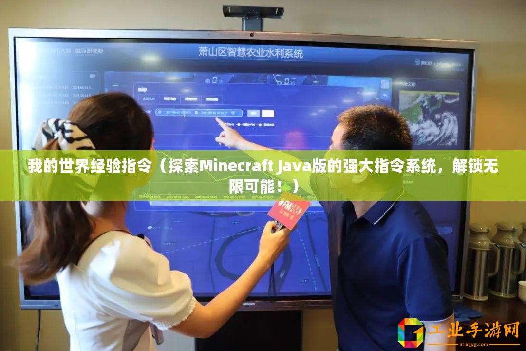 我的世界經(jīng)驗指令（探索Minecraft Java版的強大指令系統(tǒng)，解鎖無限可能！）