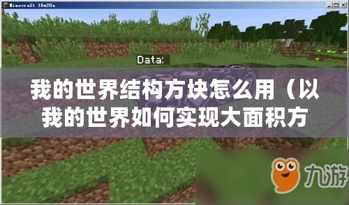 我的世界結(jié)構(gòu)方塊怎么用（以我的世界如何實現(xiàn)大面積方塊復(fù)制？）