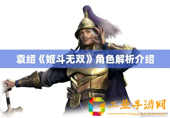 袁紹《姬斗無(wú)雙》角色解析介紹