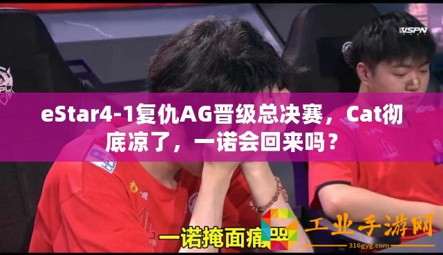 eStar4-1復(fù)仇AG晉級(jí)總決賽，Cat徹底涼了，一諾會(huì)回來(lái)嗎？
