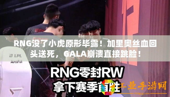RNG沒了小虎原形畢露！加里奧絲血回頭送死，GALA崩潰直接跳臉！