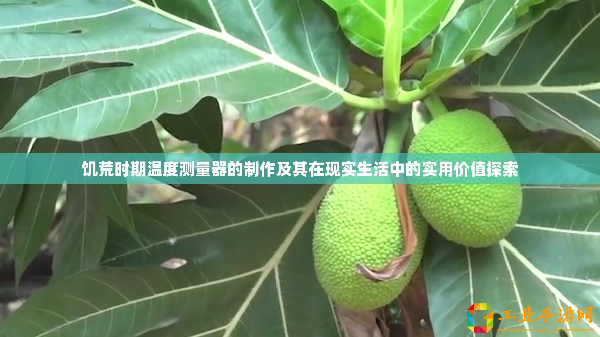 饑荒時期溫度測量器的制作及其在現(xiàn)實生活中的實用價值探索