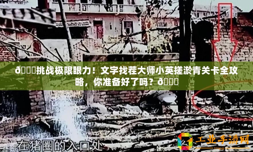 ??挑戰(zhàn)極限眼力！文字找茬大師小英搓淤青關(guān)卡全攻略，你準(zhǔn)備好了嗎？??