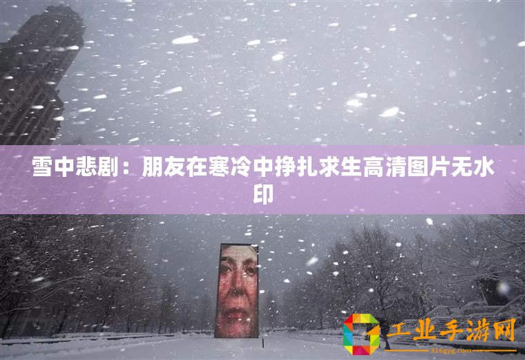 雪中悲劇：朋友在寒冷中掙扎求生高清圖片無水印