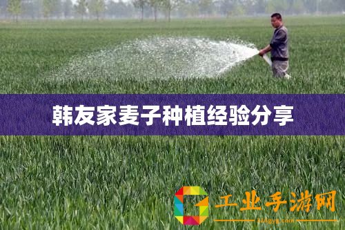 韓友家麥子種植經(jīng)驗(yàn)分享