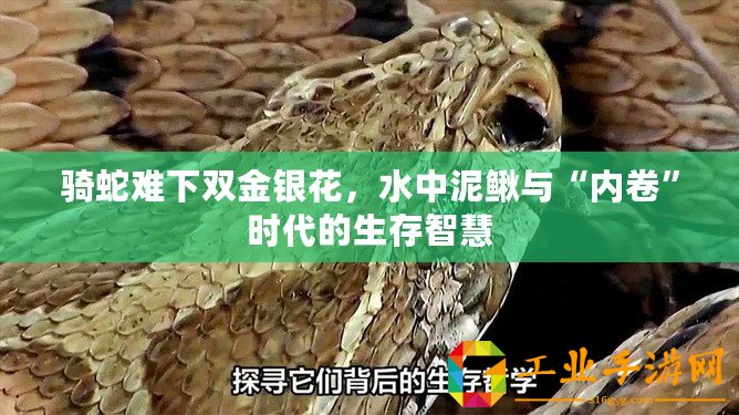 騎蛇難下雙金銀花，水中泥鰍與“內卷”時代的生存智慧