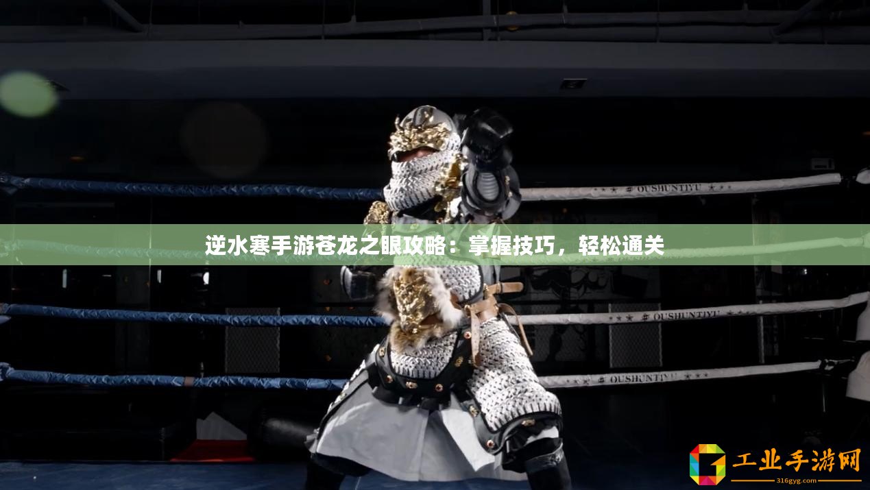 逆水寒手游蒼龍之眼攻略：掌握技巧，輕松通關