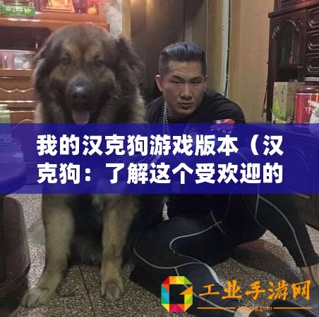 我的漢克狗游戲版本(漢克狗:了解這個受歡迎的品種?。? title=