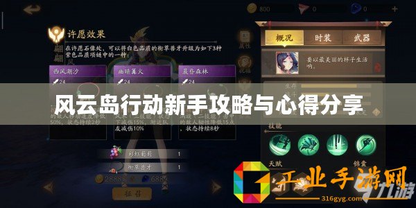 風(fēng)云島行動新手攻略與心得分享