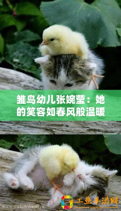 雛鳥幼兒張婉瑩：她的笑容如春風(fēng)般溫暖，讓人倍感親切與快樂