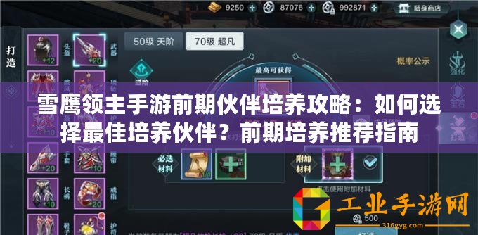 雪鷹領主手游前期伙伴培養(yǎng)攻略：如何選擇最佳培養(yǎng)伙伴？前期培養(yǎng)推薦指南