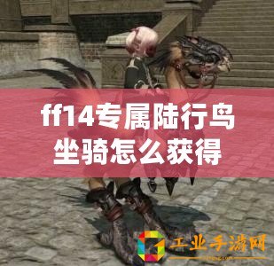 ff14專(zhuān)屬陸行鳥(niǎo)坐騎怎么獲得 ff14專(zhuān)屬陸行鳥(niǎo)獲得方法