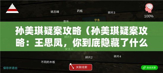 孫美琪疑案攻略（孫美琪疑案攻略：王思鳳，你到底隱藏了什么秘密？）