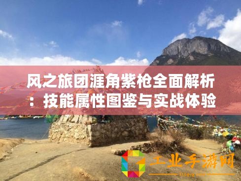 風之旅團涯角紫槍全面解析：技能屬性圖鑒與實戰體驗之旅