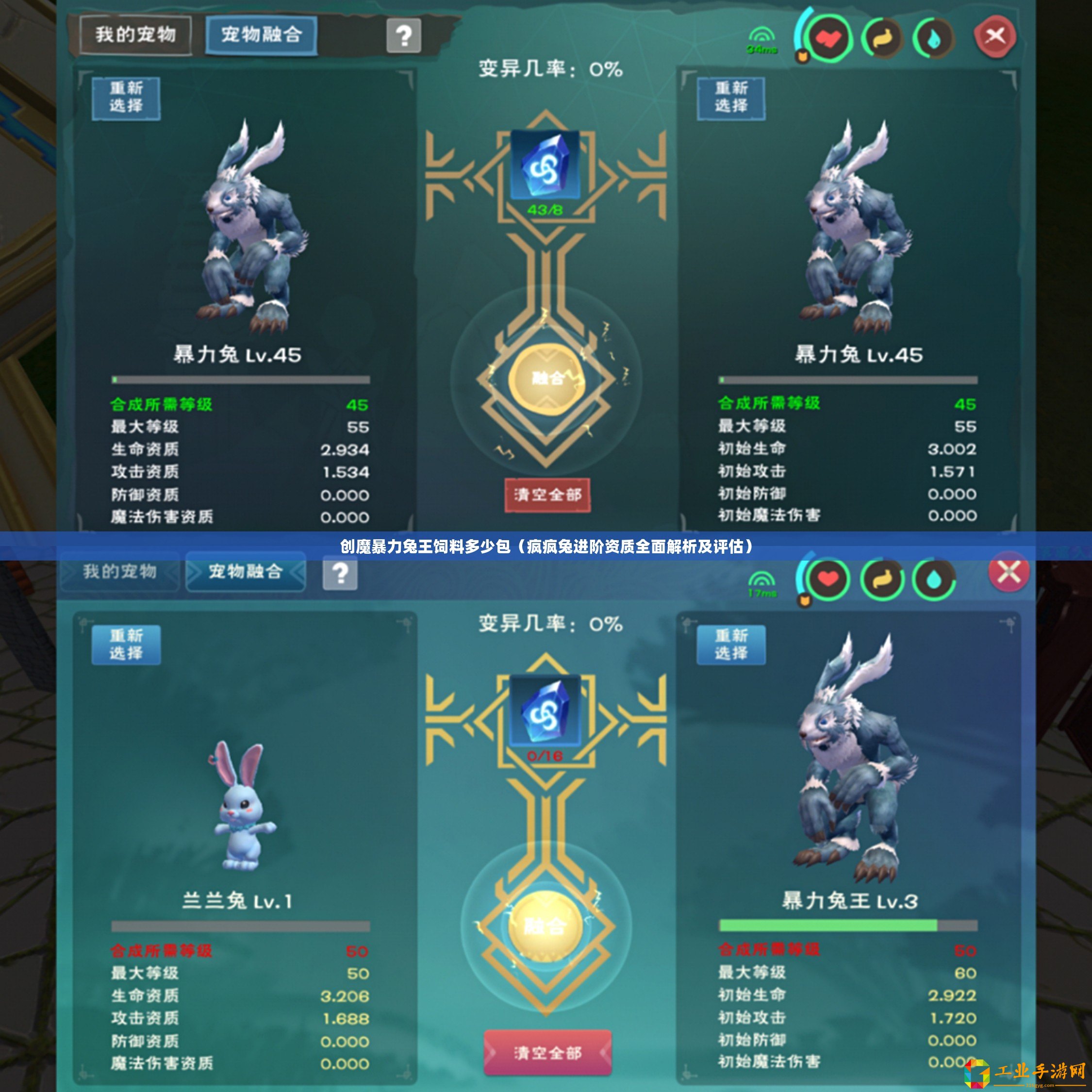 創(chuàng)魔暴力兔王飼料多少包（瘋瘋兔進階資質(zhì)全面解析及評估）