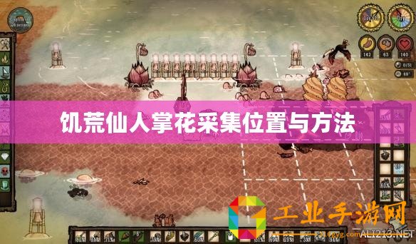 饑荒仙人掌花采集位置與方法