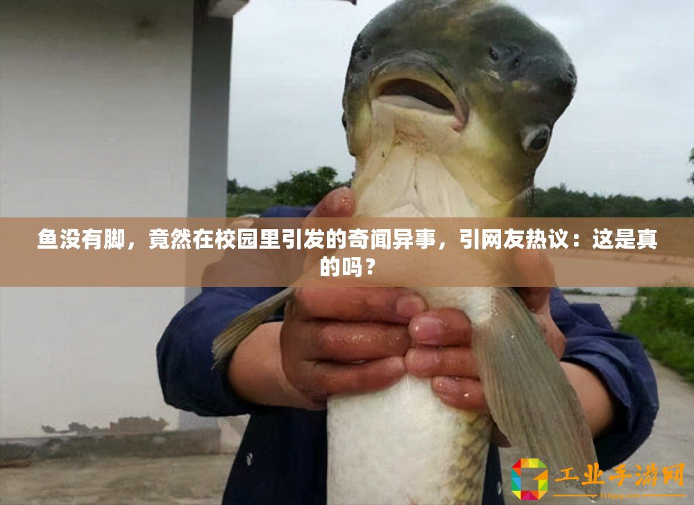 魚沒有腳，竟然在校園里引發(fā)的奇聞異事，引網(wǎng)友熱議：這是真的嗎？