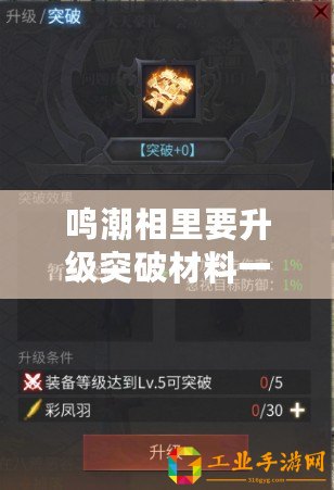 鳴潮相里要升級突破材料一覽：戰(zhàn)斗力飆升的實用技巧