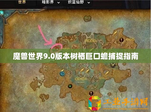 魔獸世界9.0版本樹(shù)棲巨口蟾捕捉指南