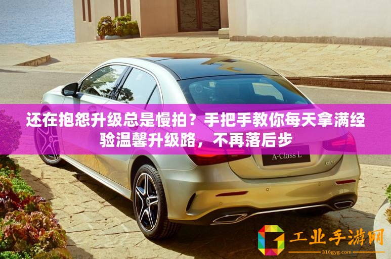 還在抱怨升級總是慢拍？手把手教你每天拿滿經(jīng)驗溫馨升級路，不再落后步
