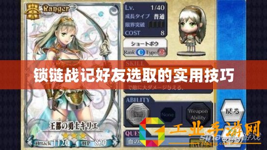 鎖鏈戰(zhàn)記好友選取的實用技巧