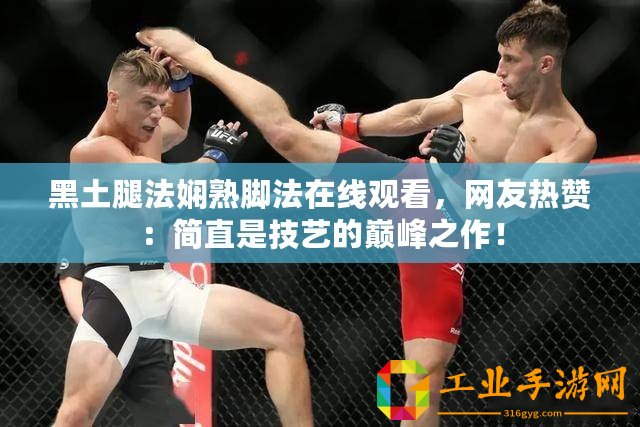 黑土腿法嫻熟腳法在線觀看，網友熱贊：簡直是技藝的巔峰之作！