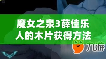 魔女之泉3薛佳樂(lè)人的木片獲得方法：黑暗亡靈怎么打？