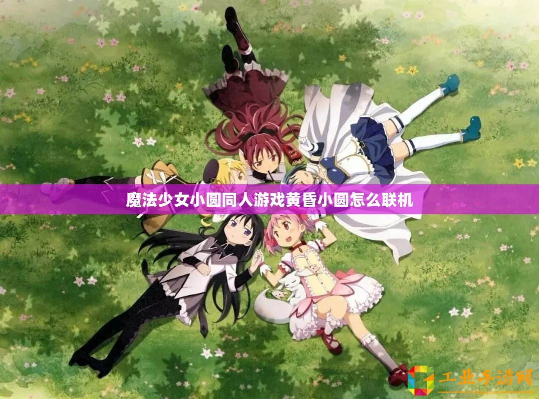 魔法少女小圓同人游戲黃昏小圓怎么聯(lián)機(jī)