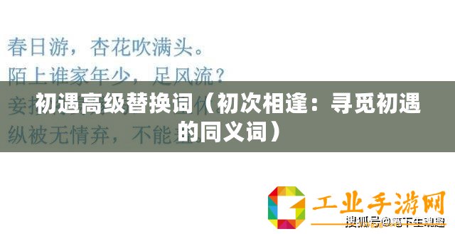 初遇高級替換詞（初次相逢：尋覓初遇的同義詞）