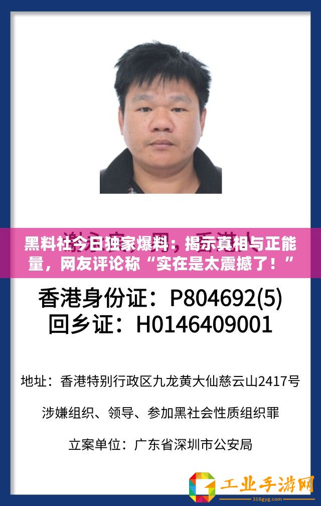 黑料社今日獨家爆料：揭示真相與正能量，網友評論稱“實在是太震撼了！”