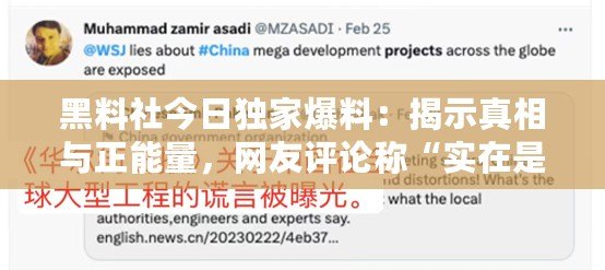 黑料社今日獨家爆料：揭示真相與正能量，網友評論稱“實在是太震撼了！”