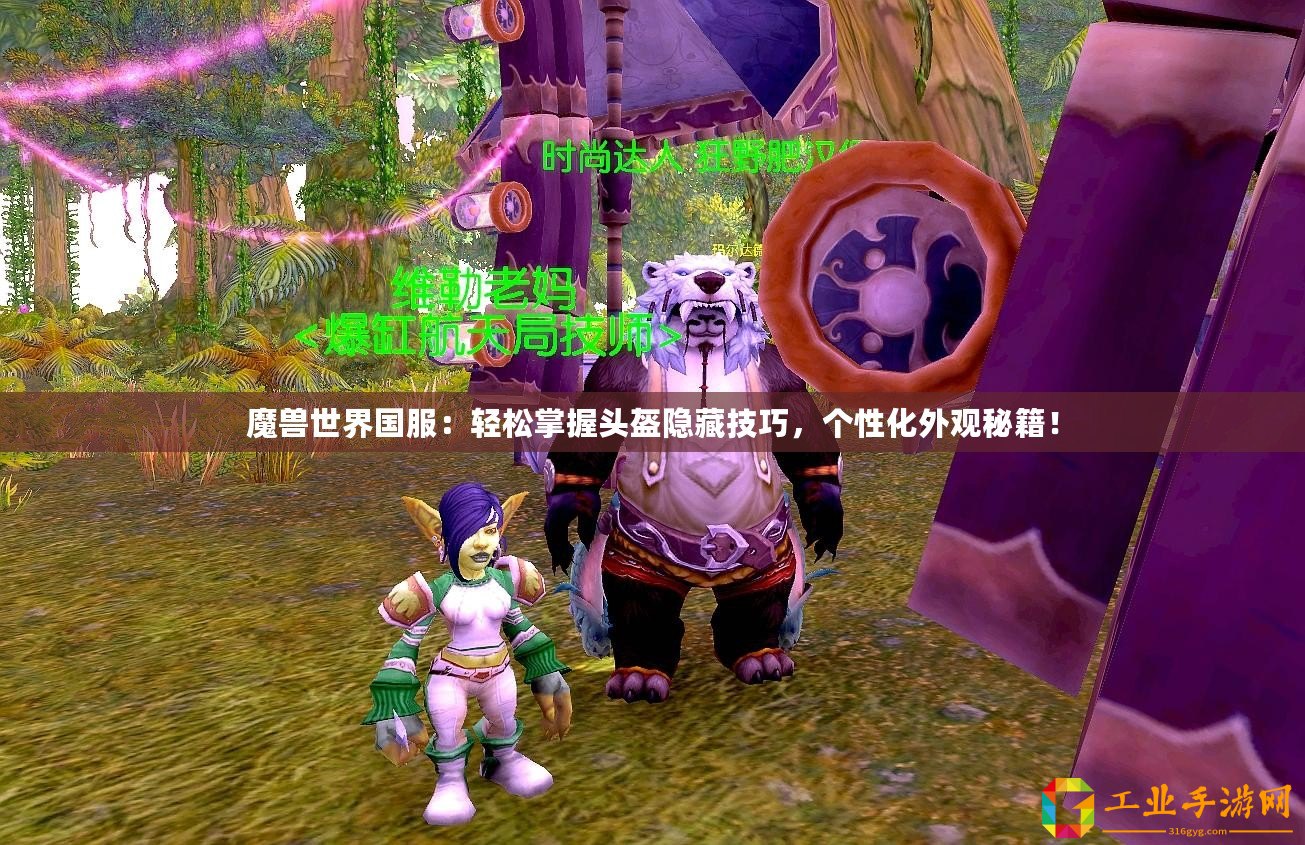 魔獸世界國服：輕松掌握頭盔隱藏技巧，個性化外觀秘籍！
