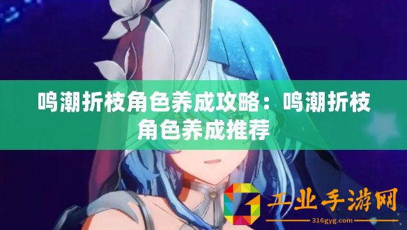 鳴潮折枝角色養(yǎng)成攻略：鳴潮折枝角色養(yǎng)成推薦