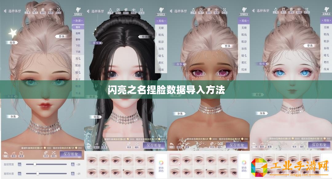 閃亮之名捏臉數(shù)據(jù)導(dǎo)入方法