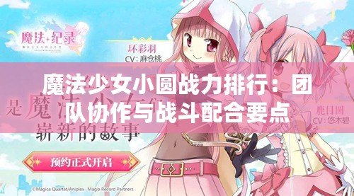 魔法少女小圓戰(zhàn)力排行：團(tuán)隊(duì)協(xié)作與戰(zhàn)斗配合要點(diǎn)