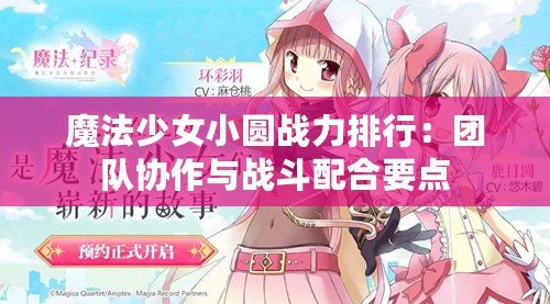 魔法少女小圓戰(zhàn)力排行：團(tuán)隊(duì)協(xié)作與戰(zhàn)斗配合要點(diǎn)