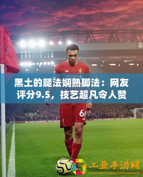 黑土的腿法嫻熟腳法：網友評分9.5，技藝超凡令人贊嘆