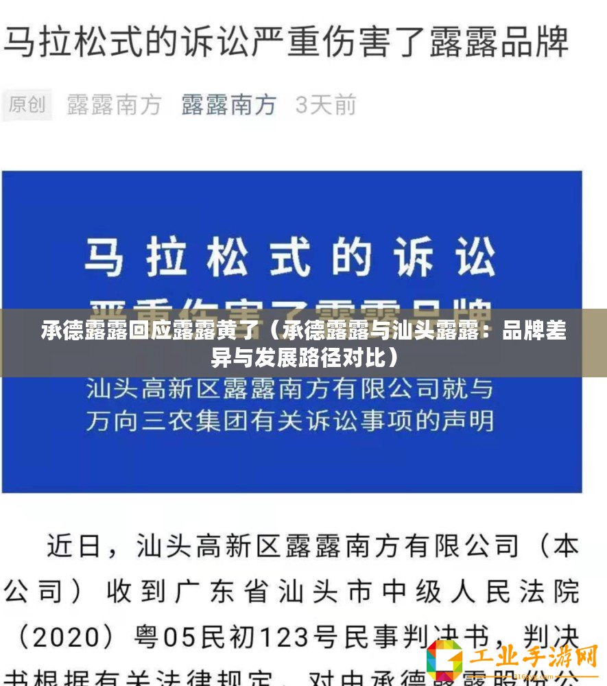 承德露露回應(yīng)露露黃了（承德露露與汕頭露露：品牌差異與發(fā)展路徑對比）