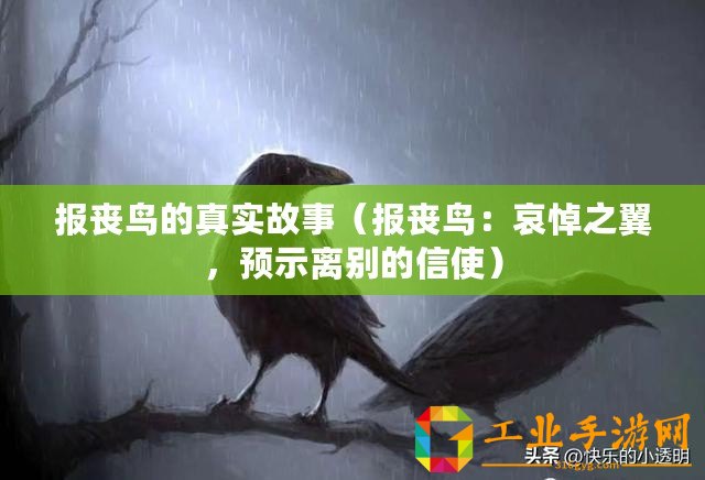 報喪鳥的真實故事（報喪鳥：哀悼之翼，預(yù)示離別的信使）