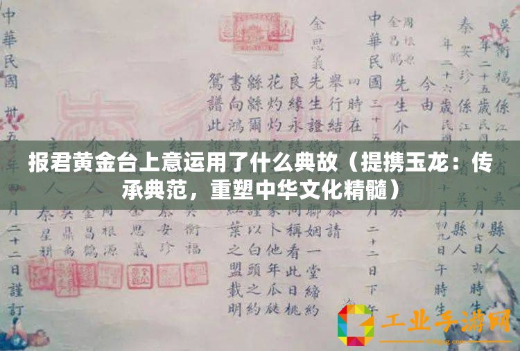 報君黃金臺上意運用了什么典故（提攜玉龍：傳承典范，重塑中華文化精髓）