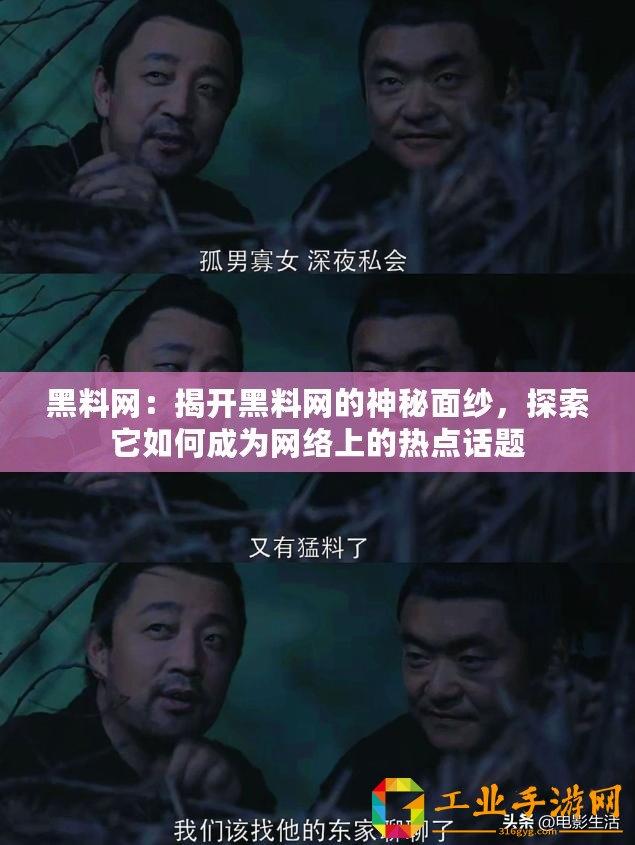 黑料網(wǎng)：揭開黑料網(wǎng)的神秘面紗，探索它如何成為網(wǎng)絡上的熱點話題
