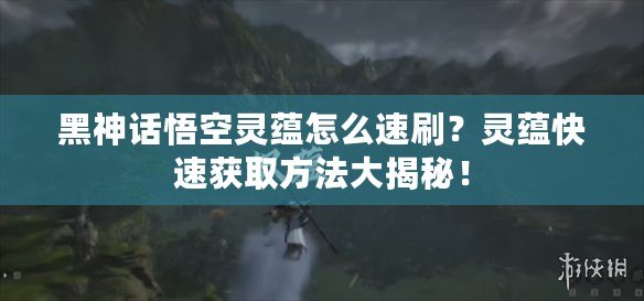 黑神話悟空靈蘊(yùn)怎么速刷？靈蘊(yùn)快速獲取方法大揭秘！