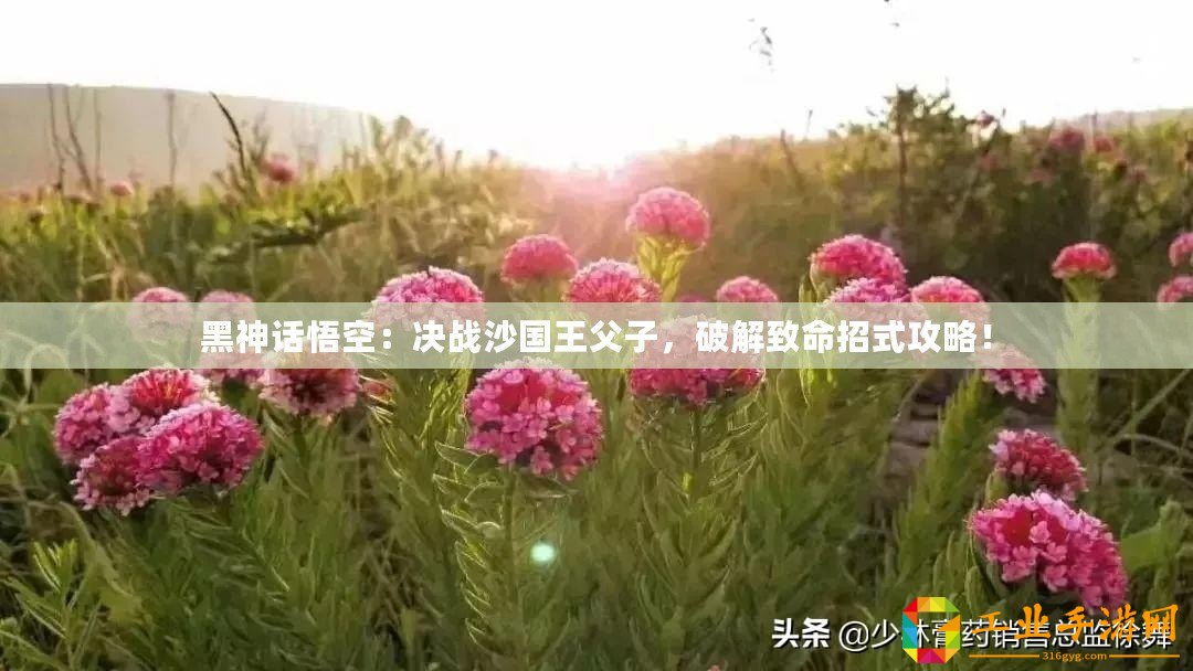 黑神話(huà)悟空：決戰(zhàn)沙國(guó)王父子，破解致命招式攻略！
