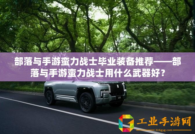 部落與手游蠻力戰(zhàn)士畢業(yè)裝備推薦——部落與手游蠻力戰(zhàn)士用什么武器好？