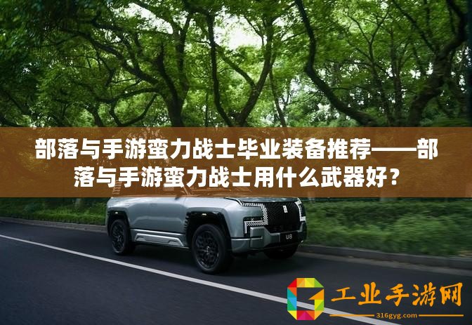部落與手游蠻力戰(zhàn)士畢業(yè)裝備推薦——部落與手游蠻力戰(zhàn)士用什么武器好？