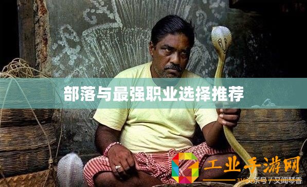 部落與最強職業(yè)選擇推薦